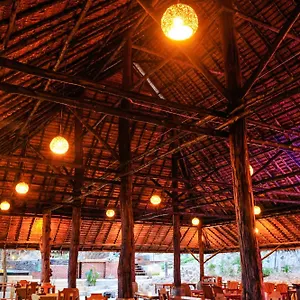 Feriested Phu, Phi Phi
